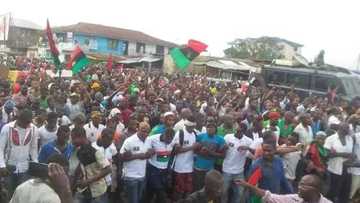 Biafra Agitation: IPOB set to take the world by storm, prepare for mega exhibition in Spain