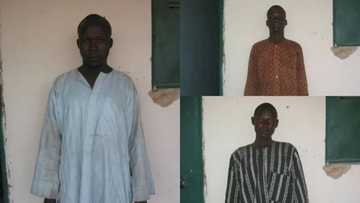 JUST IN: Most wanted Boko Haram member surrenders, 2 others arrested (photos)