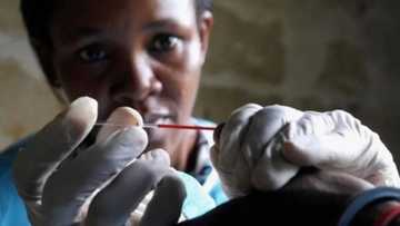 Direbobin manyan motocci ne kan gaba wajen yadda cutar kanjamau - NACA