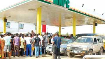 FG still trying to find out Nigeria’s actual PMS consumption - NNPC