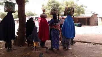 Barayin shanu na ci gaba da tarwatsa mutane a kauyukan Zamfara