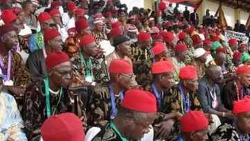Ohaneze reacts to alleged killing of Fulani by IPOB