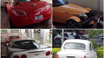 Sanatoci ma na da jini don haka dole in ji dadin rayuwa - Dino Melaye