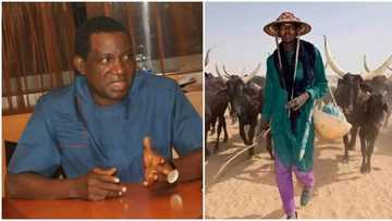 Protests hit Plateau after suspected herdsmen killed 86