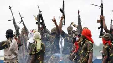 LIST: 10 conditions Niger Delta Avengers gave Buhari for truce