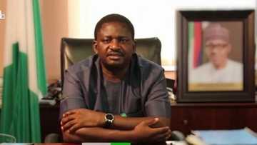 OPINION: In defence of Femi Adesina by Haruna Abdullahi