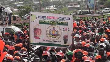 Militants: How this new OPC group plans to face militants is 'Unbelievable"