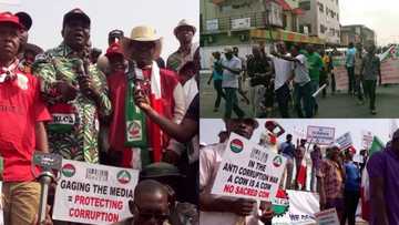 Live Updates: Charly Boy joins NLC leaders to protest in Lagos (photos, video)