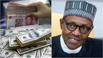 Shirin Buhari na haɗa kai da ƙasar China don yi ma Dala kifa ɗaya ƙwala ta tabbata, karanta