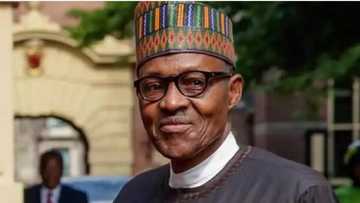 Yan Majalisar da suka koma PDP za su yiwa Buhari aiki ne — Fadar shugaban kasa