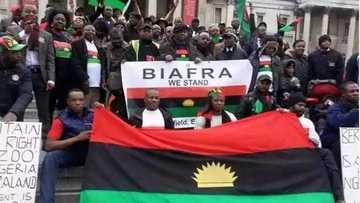 President Buhari under heavy fire from Biafra agitators