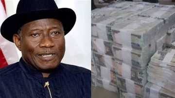 Breaking: There are proofs CBN withdrew N100bn for Jonathan before 2015 elections - Presidency reportedly claims