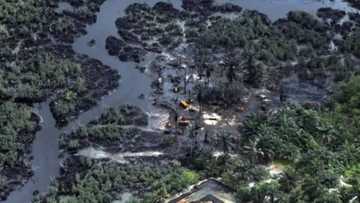 Unbelievable! President Buhari directs to 'find' crude oil in north-east