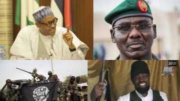 An gano babban sirrin Buhari da yayi anfani dashi wajen murkushe Boko Haram