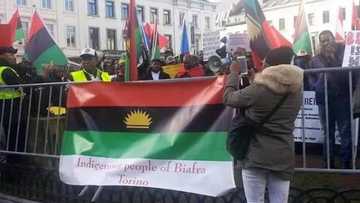 Unbelievable: See what Biafrans across Europe did to EU parliament in Brussels (photos/video)