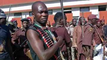 Just In: Unknown gunmen kill Buhari, commander of Civilian Joint Task Force (CJTF)