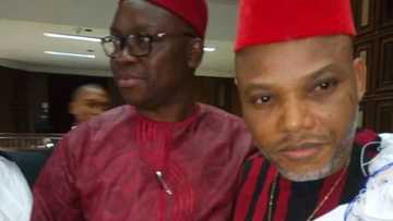 Fayose and Ekweremadu raise funds for IPOB leader Nnamdi Kanu