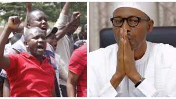 ASUU strike: NANS prepares for show-down with FG as it issues 21-day ultimatum to Buhari govt to resolve crisis