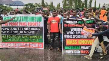 Group calls for former president Jonathan's arrest, protests misappropriation of ranching fund (photos)