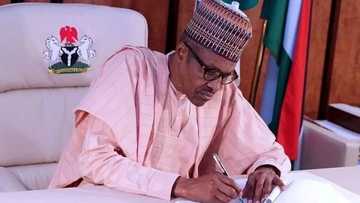Yadda Buhari ya fifita kudu akan arewa wajen nade-naden mukaman siyasa – Bincike