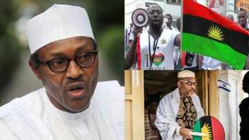 Biafra: APC drops bombshell, reveals what Buhari will do to those who asked Igbos to vacate north