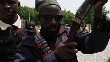 Yaki da ta'addanci: Mafarauta sun nemi izinin kamo Shekau a Dajin Sambisa
