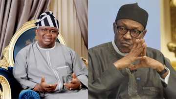 Read what top senators advised Buhari concerning security issues in Nigeria