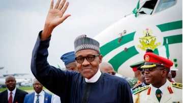 Nigerian youths are intellectually aggressive, economically ambitious people - President Buhari