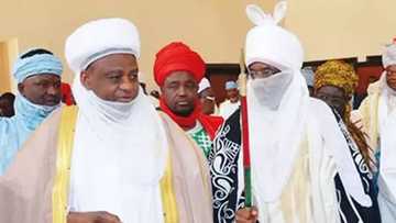 800 herdsmen were killed in 2017 - Emir Sanusi reveals patrons of Miyetti Allah