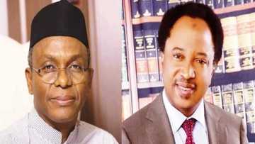 Shehu Sani ya maida martani ga El-Rufai, yace gwamnan na bukatar ganin likitan mahaukata