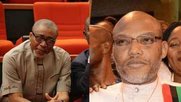 Federal High Court gives Abaribe, others 7 days ultimatum to give information on Nnamdi Kanu's whereabouts