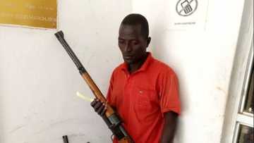 NDLEA arrests man transporting firearms to Benue, read his confession