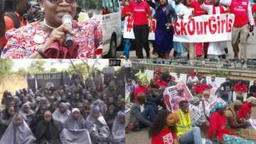 My heart beats - Ezekwesili reacts to the release of 82 Chibok girls