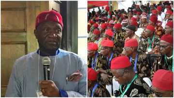 What Igbos living in the north must do so that Ndigbo can win presidency in 2023 - Ohanaeze reveals