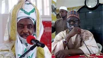 Aikata baɗala a gidajen kallon kwallo: Sarkin Kano ya baiwa Daurawa muhimmin aiki