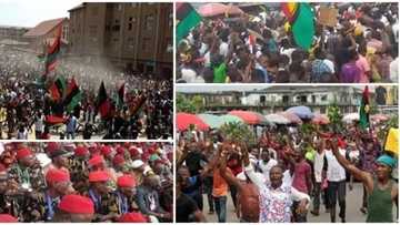 MASSOB mobilises for Biafra referendum, describes the amalgamation of Nigeria as a failed union