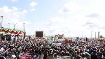 PDP na neman jawo tsohon Gwamna Rochas Okorocha, bayan ta ga take-takensa a APC