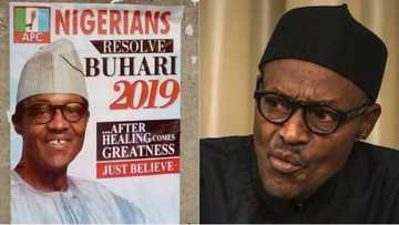 Why Buhari is still the best choice for presidency in 2019 - Adeyemi