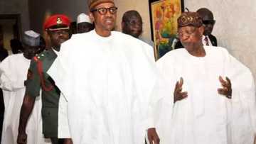 Why Buhari was absent at FEC meeting for the third time - Lai Muhammed