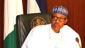 Gwamnati za ta kafa kwamitin bincike kan yadda aka sace ‘yan matan Dapchi