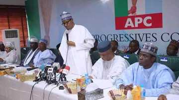 Why I am running for second term - Buhari