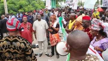 JUST IN: Pro-Buhari rally rocks Abuja, participants march to Presidential Villa (photos)