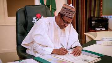 Where is Nigeria's $16 billion power project? - Buhari inquires