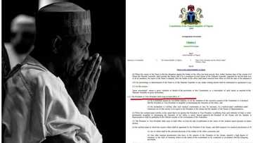 5 CRITICAL things a SICK president MUST do according to Nigerian constitution (proof)