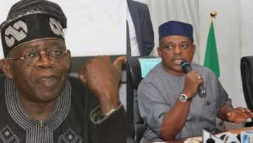 Don't accept PDP's apology, they lied to you for 16 years - Tinubu tells Nigerians