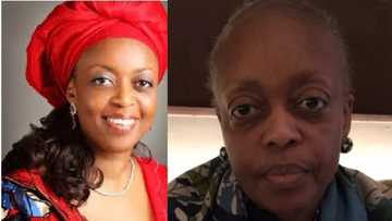 My Relationship With Jonathan: 7 Revelations By Ailing Diezani Alison-Madueke