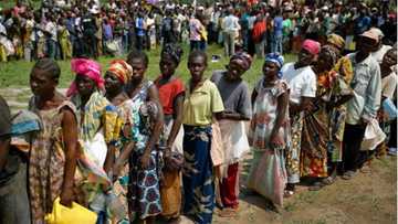 How Boko Haram killed my mother, abused my 2 wives right before me - Man laments as he resettles in northern Borno
