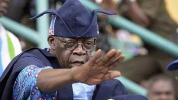 Babu sani Babu sabo: Tinubu ya yi kaca-kaca da Tsohon Shugaban 'Kasa, Obasanjo