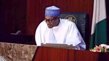 JUST IN: Buhari receives report on Maina’s reinstatement