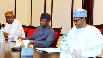 Kwankwaso da wasu Jiga-jigan APC sama da 50 na tunanin barin Jam’iyya